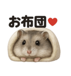 引きこもりハムスターの日常生活LINE（個別スタンプ：2）