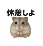 引きこもりハムスターの日常生活LINE（個別スタンプ：3）