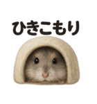 引きこもりハムスターの日常生活LINE（個別スタンプ：4）