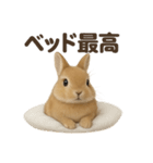 引きこもりうさぎの日常生活LINEスタンプ（個別スタンプ：8）