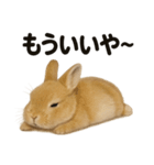 引きこもりうさぎの日常生活LINEスタンプ（個別スタンプ：14）
