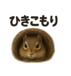 引きこもりシマリスの日常生活スタンプ（個別スタンプ：3）