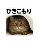 引きこもりノルウェージャンフォレスト猫（個別スタンプ：3）
