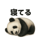 引きこもりパンダの日常生活LINEスタンプ（個別スタンプ：1）