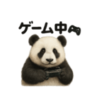 引きこもりパンダの日常生活LINEスタンプ（個別スタンプ：5）