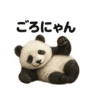 引きこもりパンダの日常生活LINEスタンプ（個別スタンプ：6）