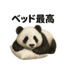 引きこもりパンダの日常生活LINEスタンプ（個別スタンプ：8）