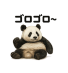 引きこもりパンダの日常生活LINEスタンプ（個別スタンプ：14）