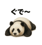 引きこもりパンダの日常生活LINEスタンプ（個別スタンプ：15）