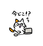 ねこねこねーこスタンプ（個別スタンプ：4）