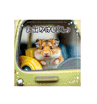 ハムちゃんの生活 日常（個別スタンプ：2）