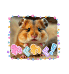 ハムちゃんの生活 日常（個別スタンプ：32）