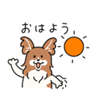 きなこ先生とカオニャオ坊ちゃん＆シロくん（個別スタンプ：2）