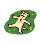 きなこ先生とカオニャオ坊ちゃん＆シロくん（個別スタンプ：3）