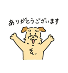 きなこ先生とカオニャオ坊ちゃん＆シロくん（個別スタンプ：6）