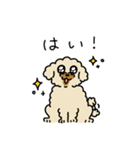 きなこ先生とカオニャオ坊ちゃん＆シロくん（個別スタンプ：8）