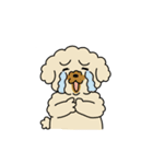 きなこ先生とカオニャオ坊ちゃん＆シロくん（個別スタンプ：9）