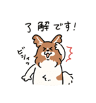 きなこ先生とカオニャオ坊ちゃん＆シロくん（個別スタンプ：10）