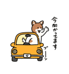 きなこ先生とカオニャオ坊ちゃん＆シロくん（個別スタンプ：14）