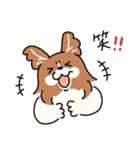 きなこ先生とカオニャオ坊ちゃん＆シロくん（個別スタンプ：21）