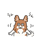 きなこ先生とカオニャオ坊ちゃん＆シロくん（個別スタンプ：23）