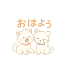 白猫姉妹とミニチュアダックス(日常会話)（個別スタンプ：1）