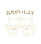 白猫姉妹とミニチュアダックス(日常会話)（個別スタンプ：8）