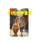 猫とおさんぽ（個別スタンプ：16）