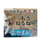 K＆S No.3 with Eight（個別スタンプ：31）