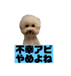 はにまろすたんぷ！4（個別スタンプ：1）