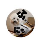 はにまろすたんぷ！4（個別スタンプ：6）