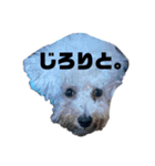 はにまろすたんぷ！4（個別スタンプ：8）