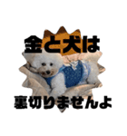 はにまろすたんぷ！4（個別スタンプ：15）