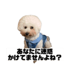 はにまろすたんぷ！4（個別スタンプ：16）