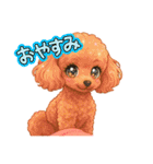 トイプードル、豆柴スタンプ（個別スタンプ：2）