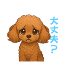 トイプードル、豆柴スタンプ（個別スタンプ：10）