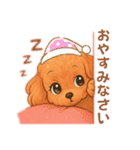 トイプードル、豆柴スタンプ（個別スタンプ：13）