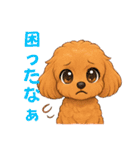 トイプードル、豆柴スタンプ（個別スタンプ：16）
