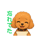 トイプードル、豆柴スタンプ（個別スタンプ：17）