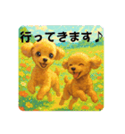 トイプードル、豆柴スタンプ（個別スタンプ：30）