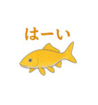 日本の国魚の錦鯉シリーズ2025（個別スタンプ：2）