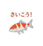日本の国魚の錦鯉シリーズ2025（個別スタンプ：15）