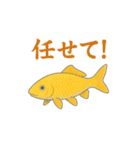 日本の国魚の錦鯉シリーズ2025（個別スタンプ：16）