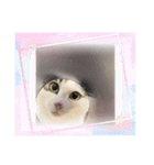 もなかのもんちゃん1（個別スタンプ：4）