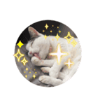 もなかのもんちゃん1（個別スタンプ：10）
