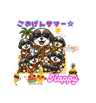 シーズー犬 ハッピーの日常文言スタンプ（個別スタンプ：30）