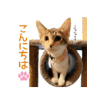 個性豊かな8猫家族 vol.3（個別スタンプ：3）