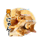 個性豊かな8猫家族 vol.3（個別スタンプ：5）