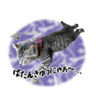 個性豊かな8猫家族 vol.3（個別スタンプ：10）