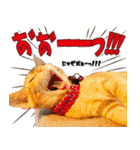 個性豊かな8猫家族 vol.3（個別スタンプ：20）